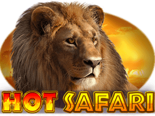 Hot Safari screenshot
